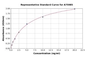 Representative standard curve for Bovine Hsp70 ELISA kit (A75985)