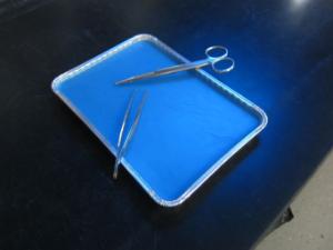 Dissection Tray, AIMS™