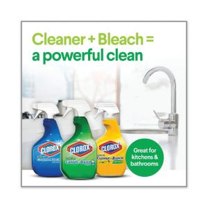 Clorox® clean-up cleaner with bleach