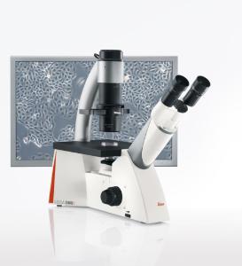 DMi1 tissue culture inverted microscope