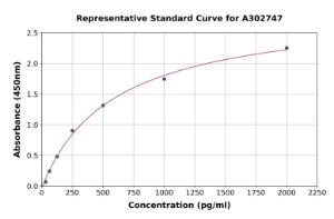 Representative standard curve for Human SLC34A2 ELISA kit (A302747)