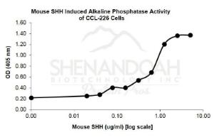 Mouse Recombinant SHH (from <i>E. coli</i>)
