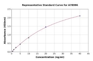 Representative standard curve for Human Apo-D ELISA kit (A78996)