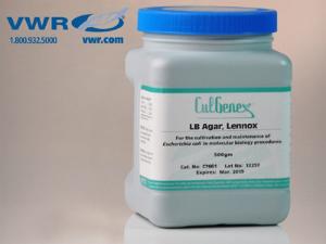 CulGenex™ LB Agar, Lennox, Dehydrated Culture Media, Hardy Diagnostics