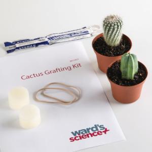 Cactus Grafting Kit