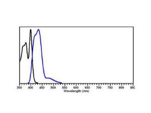 Anti-IgG Goat Polyclonal Antibody (DyLight® 405)