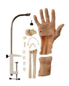 Somso® Arthroscopic Wrist