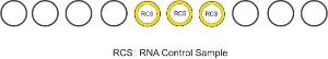 RNA control expansion contents