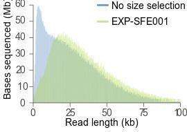 Short fragment eliminator expansion comparison graph