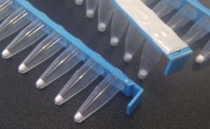 illustra™ Ready-To-Go™ GenomiPhi™ V3 DNA Amplification Kits