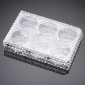 Falcon® Multiwell Cell Culture Plates, Corning