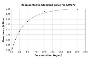 Representative standard curve for Human Polyubiquitin B ELISA kit (A79779)