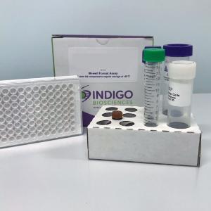 Indigo assay kit