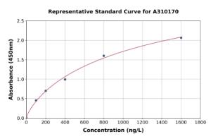 Representative standard curve for Human PAX7 ELISA kit (A310170)