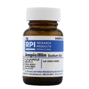 Ampicillin Sodium Salt