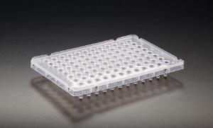 Skirted AMPLATE™ 96-Well Thin Wall PCR Plates, Simport Scientific