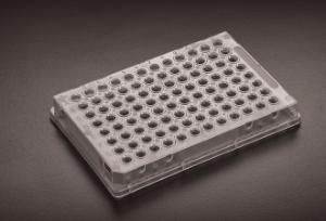 AMPLATE™ Skirted 384-Well Thin Wall PCR Plates, Simport Scientific