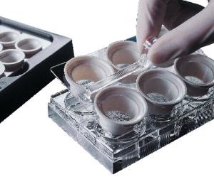 Netwell™ Inserts, Sterile, Corning