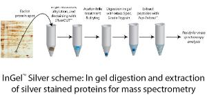 InGel™ Silver for Protein Digestion, G-Biosciences