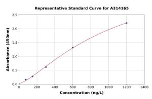 Representative standard curve for human Serum Response Factor SRF ELISA kit (A314165)