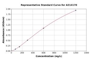 Representative standard curve for human BIN2 ELISA kit (A314170)