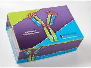 Epitope Tag Antibody Sampler Kit