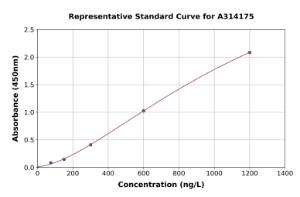 Representative standard curve for mouse CCR2 ELISA kit (A314175)