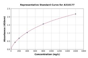 Representative standard curve for Human P4HA2 ELISA kit (A310177)