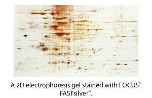 FOCUS™ FASTsilver™ Electrophoresis Gel Staining Kit, G-Biosciences