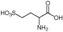 DL-Homocysteic Acid ≥97.0% (by titrimetric analysis)