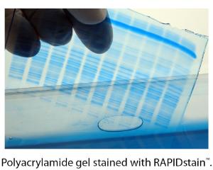 Protein Gel Stain RAPIDstain™, G-Biosciences