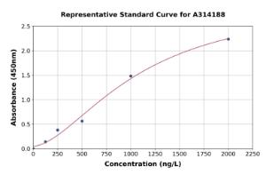 Representative standard curve for human MUSTN1 ELISA kit (A314188)