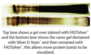 Silver D-Stain™ Nucleic Acid & Protein Destain, G-Biosciences