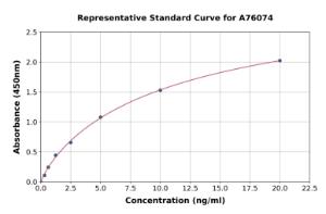 Representative standard curve for Human KAT2 ml AadAT ELISA kit (A76074)