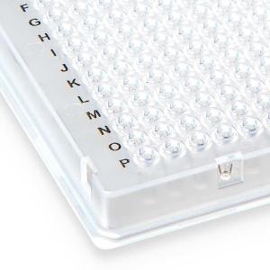 PCR Plate, 384-well