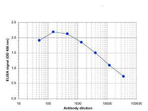 PAB Rabbit WDR5 Mouse Antiserum 100 µl