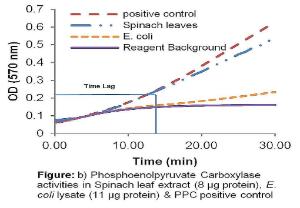 Phosphoenolpyruvate Carboxylase Activity Assay Kit (Colorimetric)