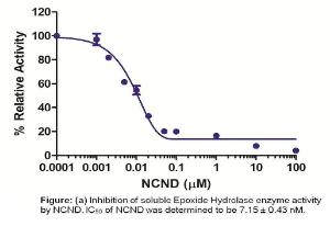 Soluble Epoxide Hydrolase Inhibitor Screening Kit