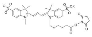 Sulfo-cyanine 3 nhs 263 10 mg