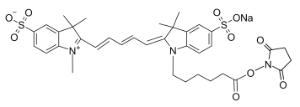 Sulfo-cyanine 5 nhs 268 10 mg