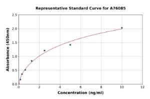 Representative standard curve for Human ABCB5 ELISA kit (A76085)