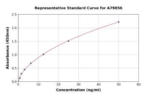 Representative standard curve for Rat Kappa Opioid Receptor ELISA kit (A79856)