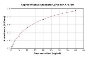 Representative standard curve for Human 14-3-3 eta/YWHAH ELISA kit