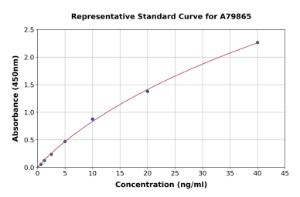 Representative standard curve for Rat ACE2 ELISA kit (A79865)