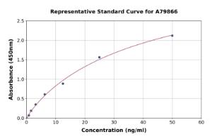 Representative standard curve for Rat Acetylcholinesterase ELISA kit (A79866)