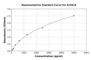 Representative standard curve for Rabbit Angiopoietin 2/ANG2 ELISA kit (A74619)