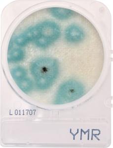 CompactDry™ Yeast/Mold Rapid (YMR) cassettes for colony counts&nbsp;
