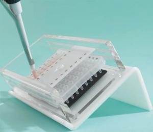 Diversified Biotech Pipetter Guide