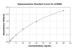 Representative standard curve for Rat Alkaline Phosphatase ELISA kit (A79883)