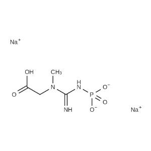 N-Methyl-N-(N-Phosphonocarbamimidoy